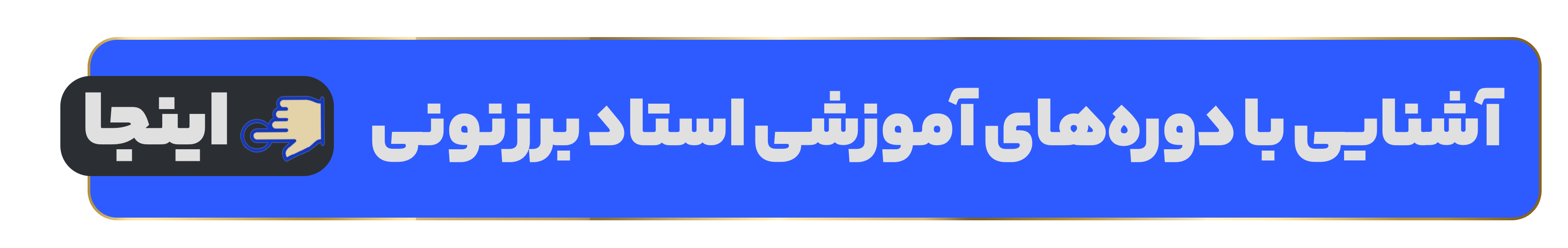 سید محسن برزنونی