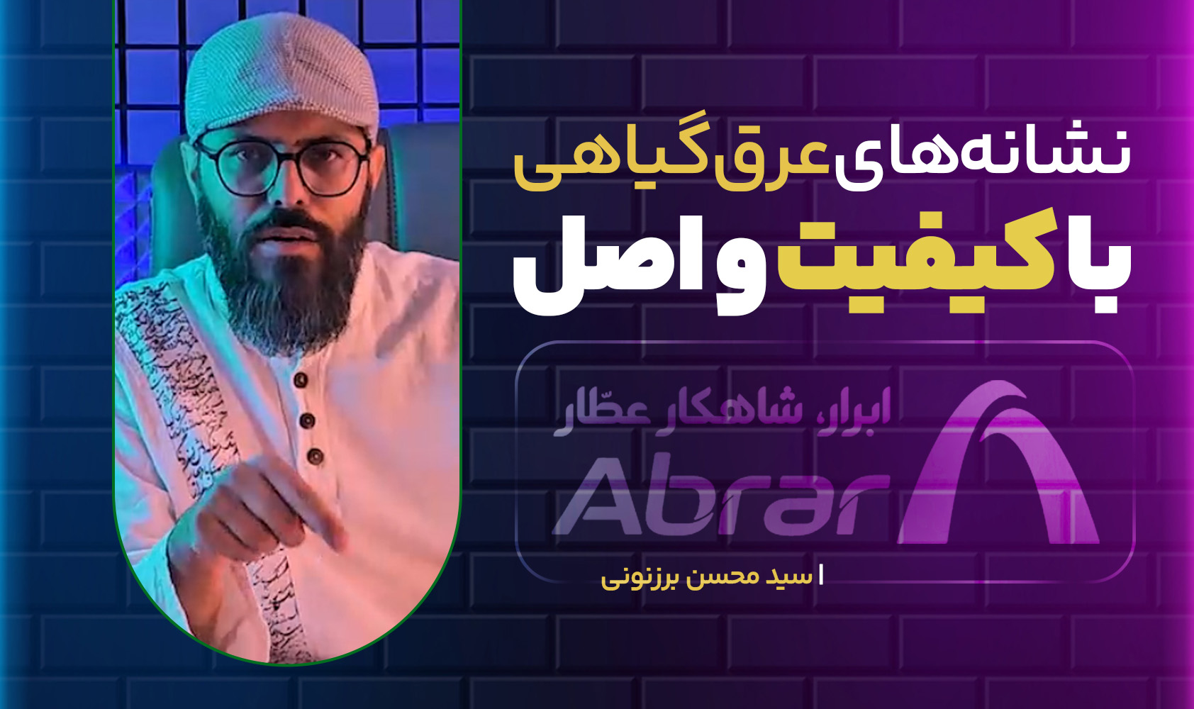 سید محسن برزنونی