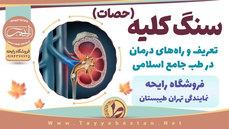 سنگ کلیه و راه های درمان در طب جامع اسلامی